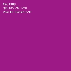 #9C1986 - Violet Eggplant Color Image